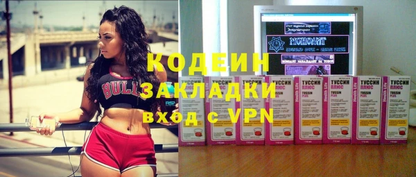 стаф Коряжма