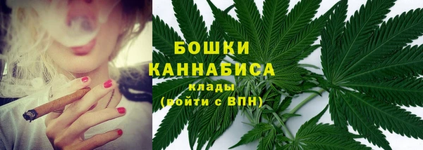 стаф Коряжма