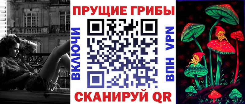 MEGA   Мелеуз  Галлюциногенные грибы Psilocybine cubensis 